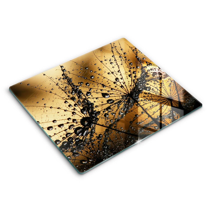 Dekoratív üveg, Wallfluent, Harmat és pitypang, Sárga, 60x52 cm