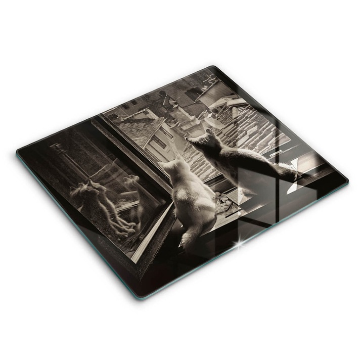 Dekoratív üveg, Wallfluent, Macskák város és ablak, fekete fehér mintás, 60x52 cm