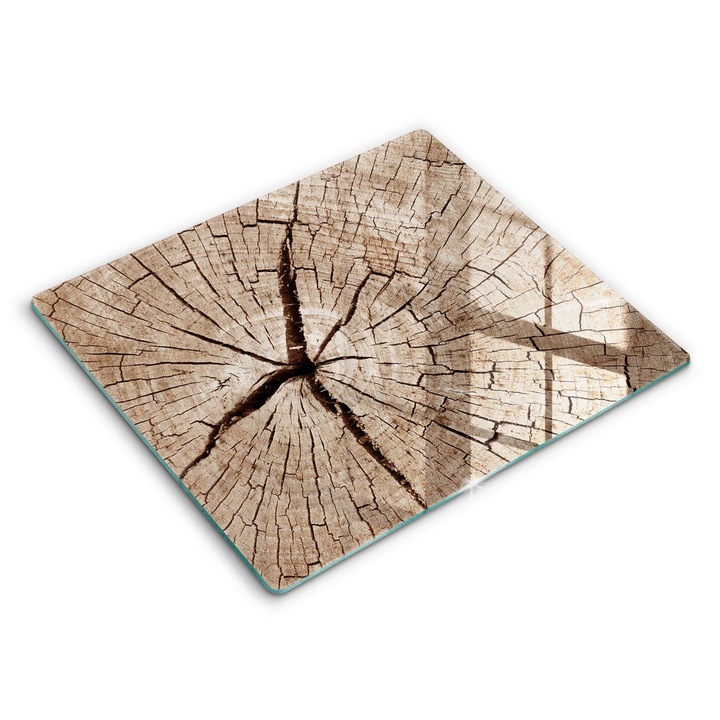 Dekoratív üveg, Wallfluent, Egy fa keresztmetszete, Barna, 60x52 cm