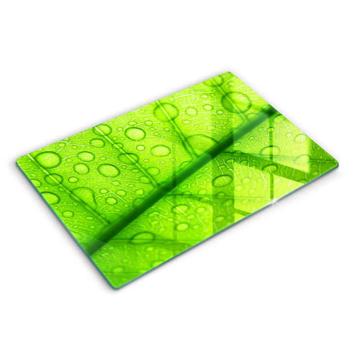 Dekoratív üveg, Wallfluent, Közeli kép egy levélről, Zöld, 80x52 cm