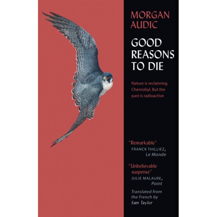 Good Reasons to Die de Morgan Audic