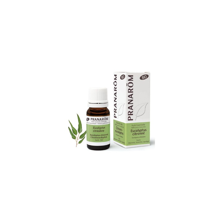 Ulei esential, Pranarom, Eucalipt, 10 ml