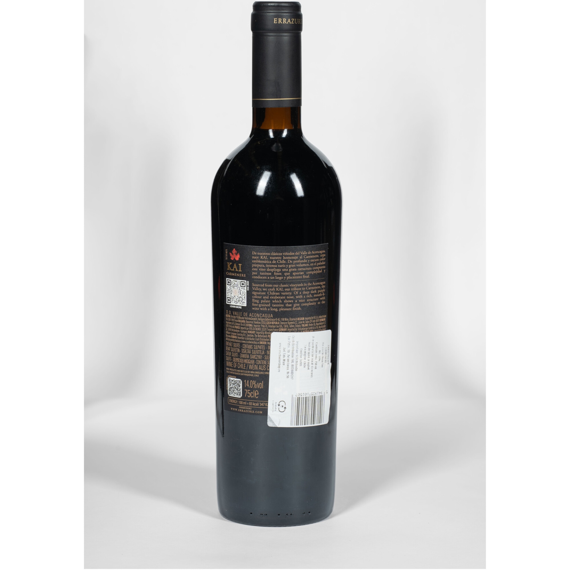 2016年KAI ERRAZURIZ 2016年KAI ERRAZURIZ