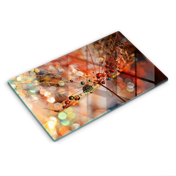 Dekoratív üveg, Wallfluent, Nedves pitypang, Narancssárga, 52x30 cm