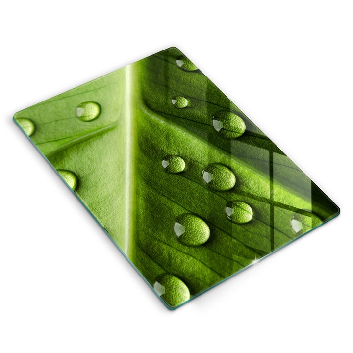 Dekoratív üveg, Wallfluent, Természet harmat és levél, Zöld, 40x52 cm