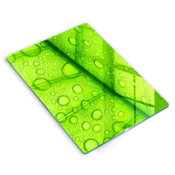 Dekoratív üveg, Wallfluent, Közeli kép egy levélről, Zöld, 40x52 cm