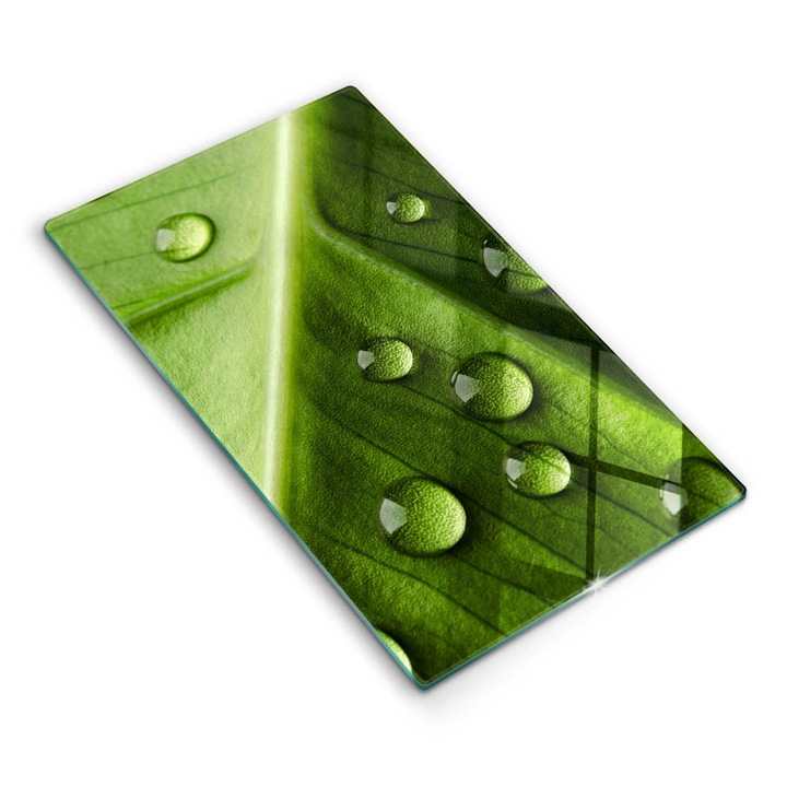 Dekoratív üveg, Wallfluent, Természet harmat és levél, Zöld, 30x52 cm