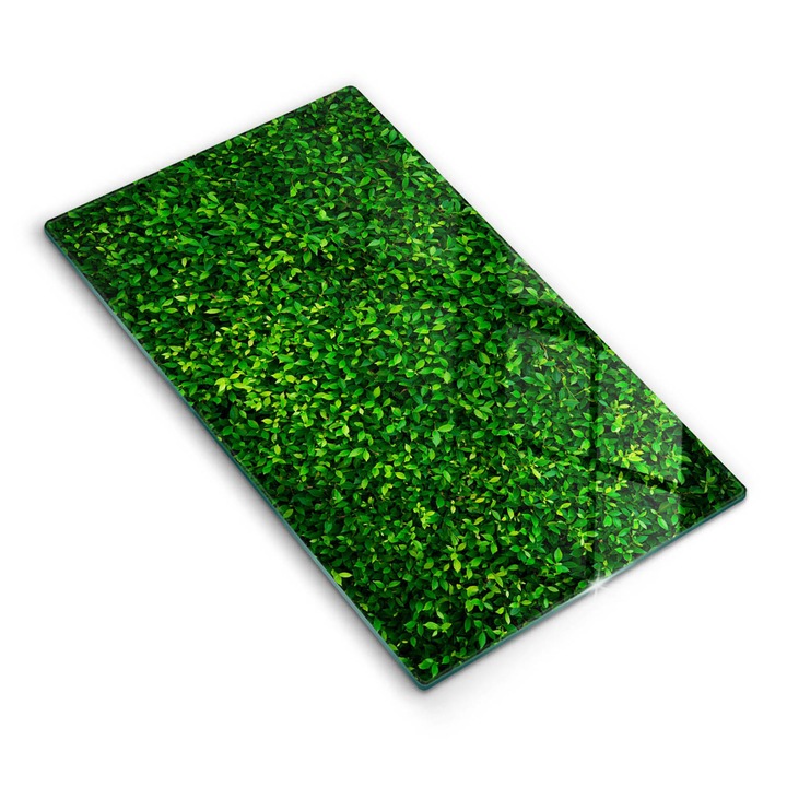 Dekoratív üveg, Wallfluent, Növény kis levelekkel, Zöld, 30x52 cm