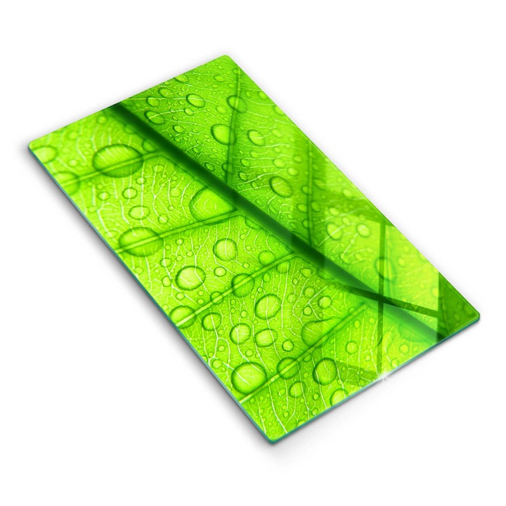 Dekoratív üveg, Wallfluent, Közeli kép egy levélről, Zöld, 30x52 cm