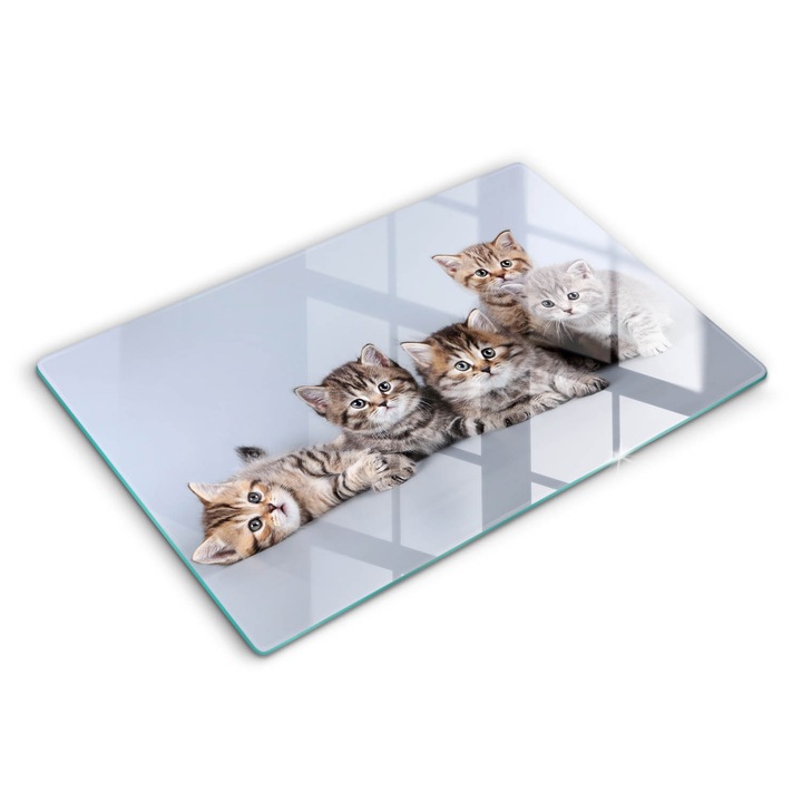 Tocatoare de bucatarie, Wallfluent, din sticla, 80x52 cm, Pisici mici dulci, Gri, 010010520060000005756