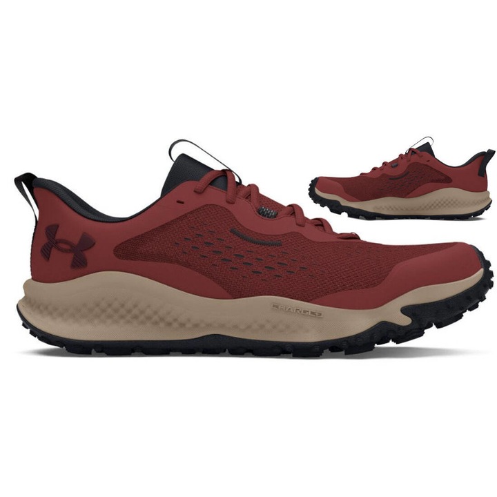 Pantofi sport barbati, Under Armour, Alergare, Sintetic/poliuretan, Visiniu, Visiniu