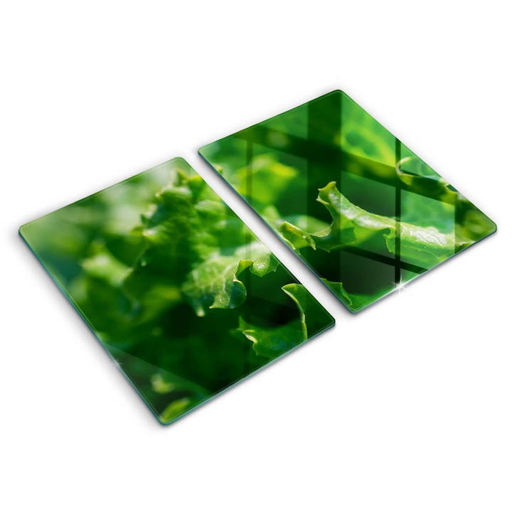 Dekoratív üveg, Wallfluent, Saláta levelek, Zöld, 2x40x52 cm