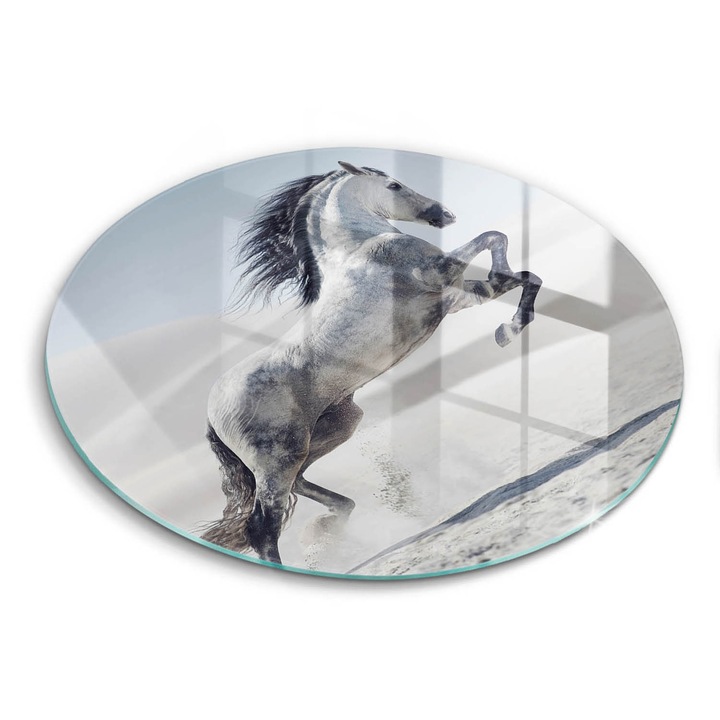 Tocatoare de bucatarie, Wallfluent, din sticla, Ø30 cm, Cal roman alb, Gri, 010010520070000075342