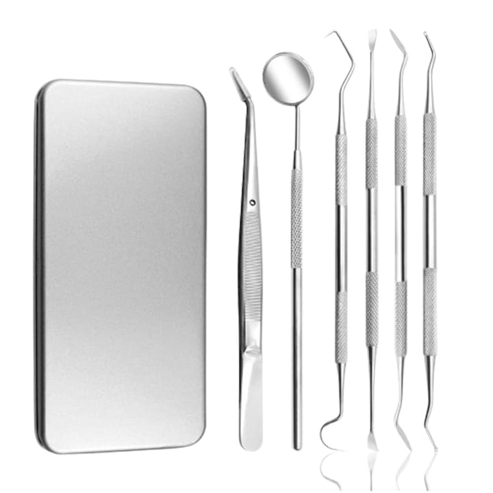 Trusa consultatie stomatologie 6 piese, JENUOS®, Otel Inox, cu Varfuri Ascutite, Argintiu