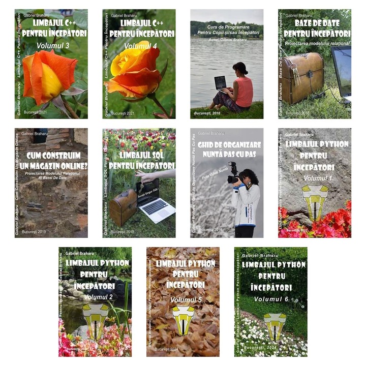 Set de 10+1 Carti Programare Incepatori (808), Gabriel Braharu, Colectia "Invata programare singur"