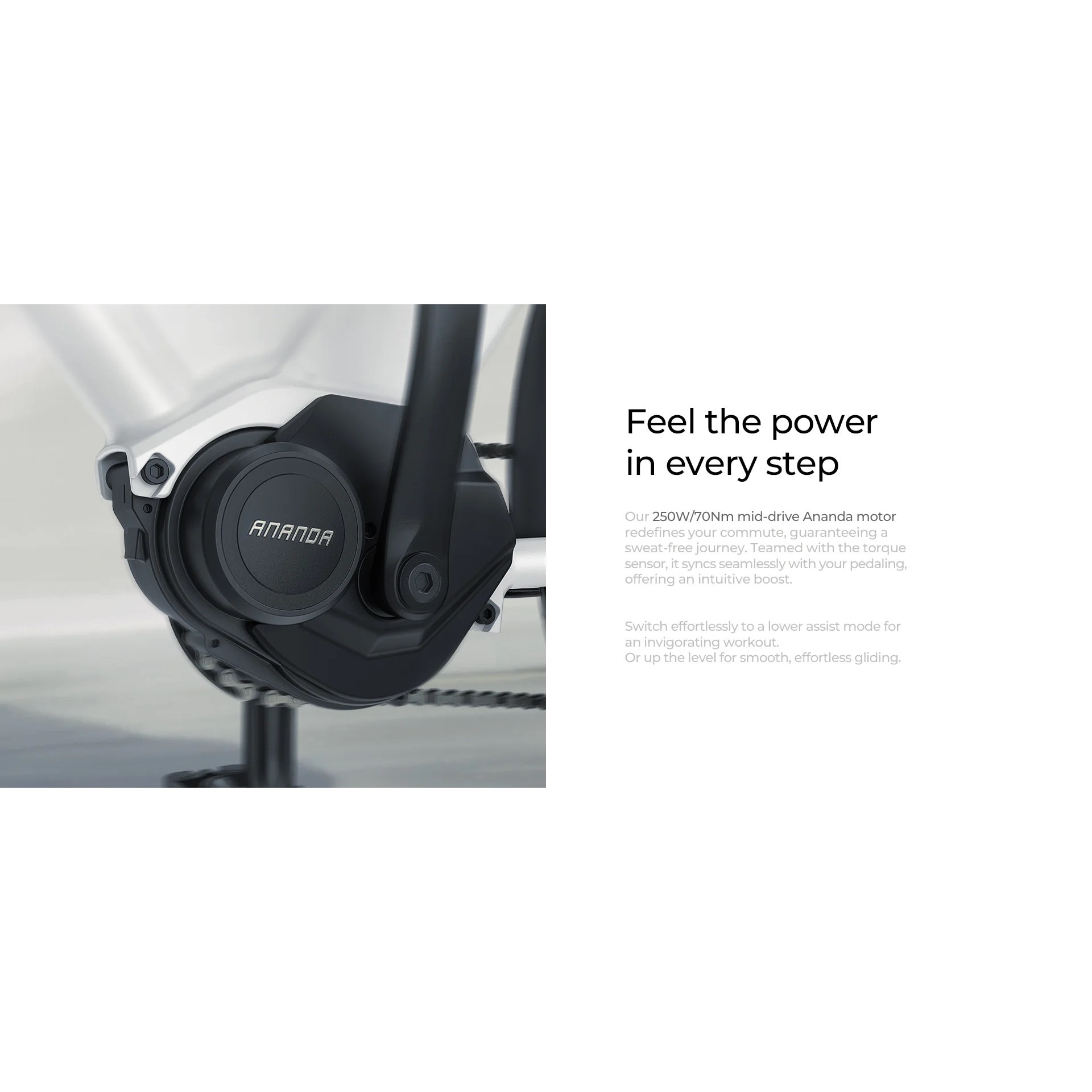 Trottinette électrique TX AS03 Evo - 350W, 7.5Ah, 25 Km/h, Autonomie 25 Km Roues 85 Vendeur Tiers 2672931