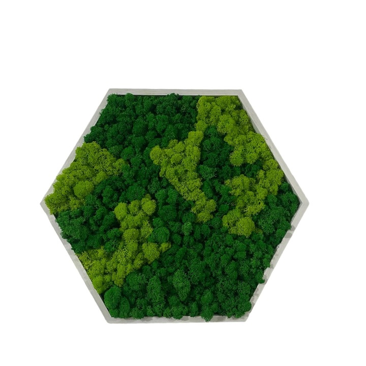 Tablou hexagonal decorat cu licheni naturali stabilizati, culoare verde deschis/verde inchis, dimensiune 42x37 cm, rama lemn alba
