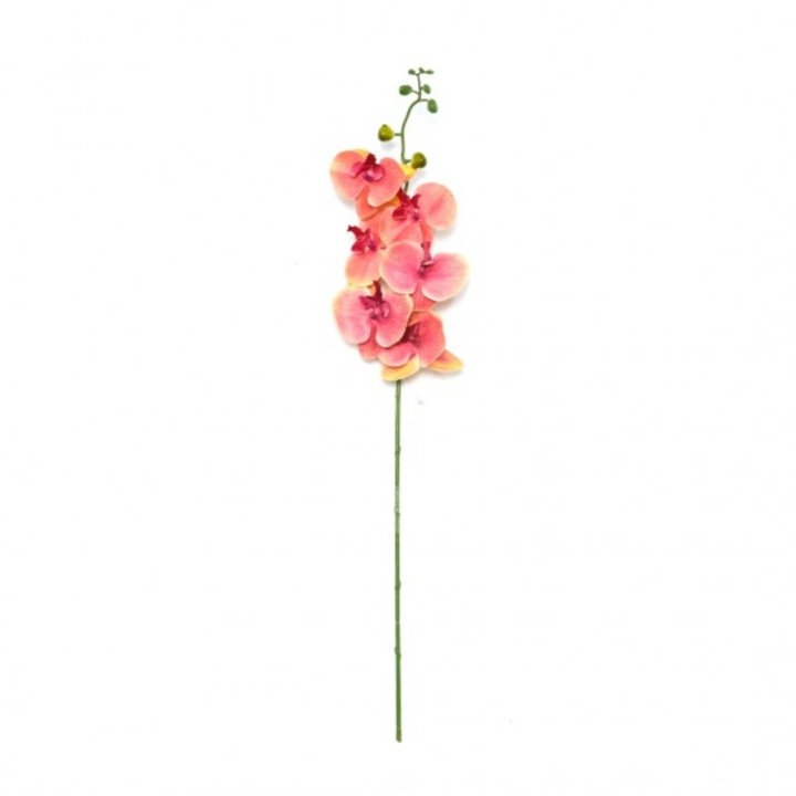 Plante decorative tip BOHO, 50cm