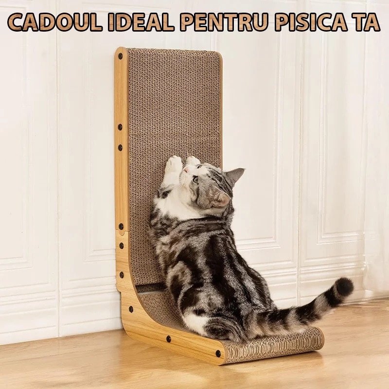 Ansamblu De Joaca Pentru Pisici Orizontal Si Vertical Tip Carton De ...