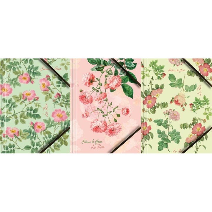 Set 6 mape, Tetis, Carton, A4, Multicolor