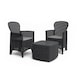 Set gradina/terasa, Progarden, TREE, 3 piese, polipropilena, antracit, 2 scaune 59x57x85.5 cm, masa 53x53x40 cm