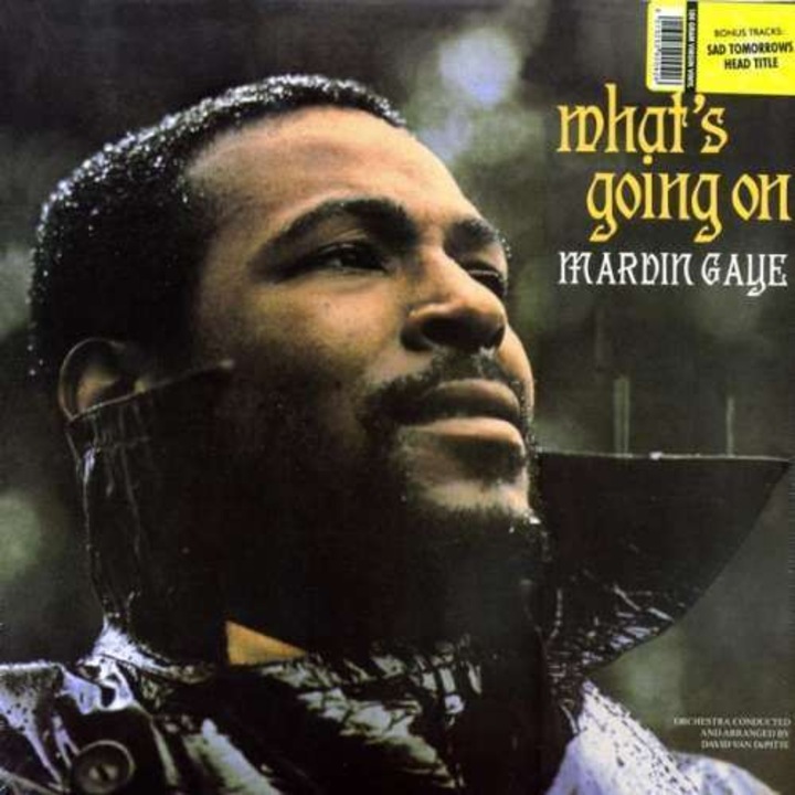 Marvin Gaye - What's Going On (LP)