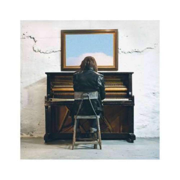 Delta Spirit - Into the Wide (CD)