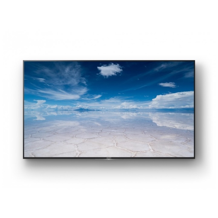Sony FW-65XE8501, 65" (165.1 cm), 4K, 3840 x 2160, 16:9, LCD, HDMI, (C), Fekete monitor