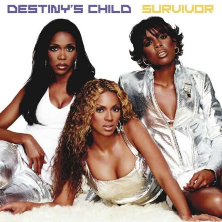 Destiny\'s Child - Survivor (CD)