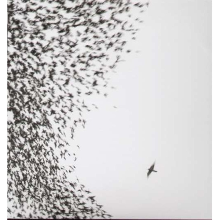 Wilco - Sky Blue Sky= Hq Vinyl= (LP)