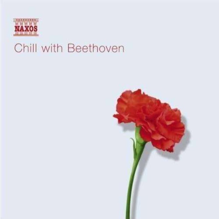 Artisti Diversi - Chill With Beethoven (CD)