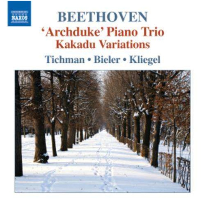 L Van Beethoven - Klaviertrios Vol.5 (CD)