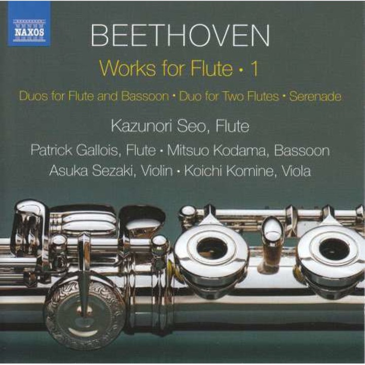 L Van Beethoven - Works For Flute 1 (CD)