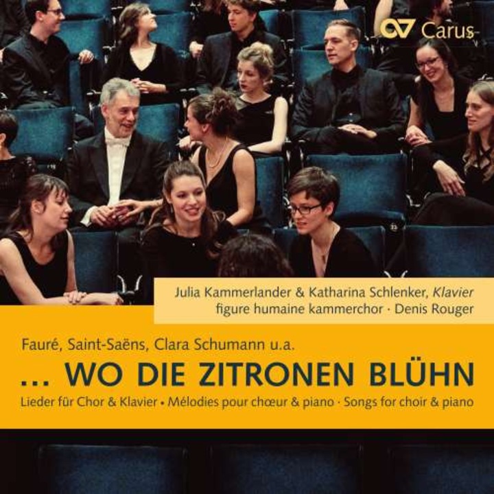 Julia Kammerlander - Wo Die Zitronen Bluh'n (CD)