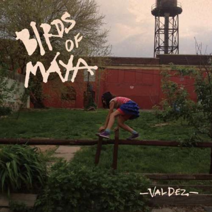 Birds of Maya - Valdez (LP)