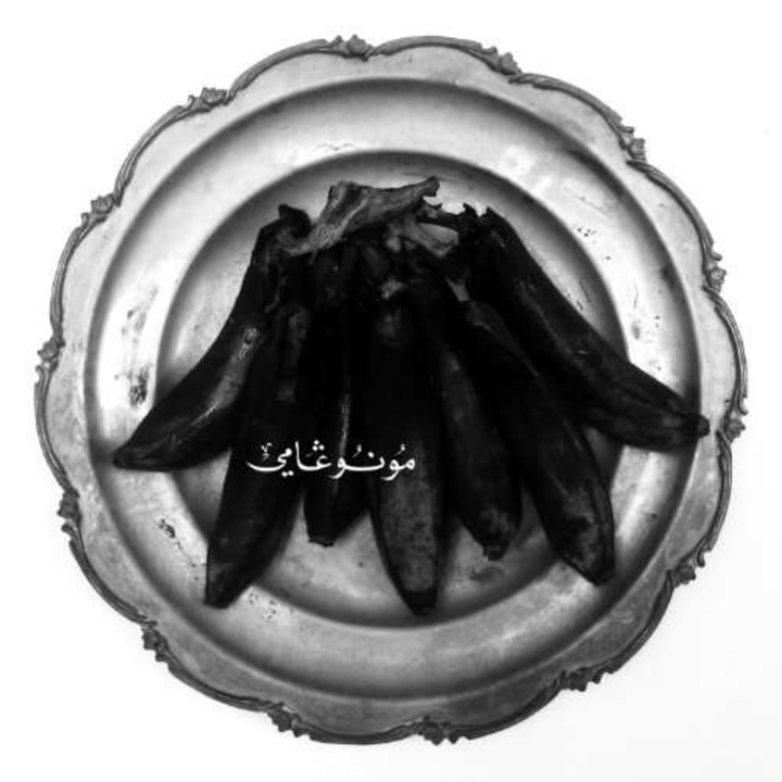 Land Of Kush's Egyptian L - Monogamy (CD)