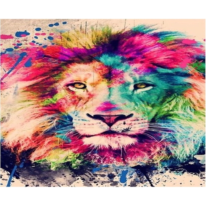 Set de broderie cu diamante 5d, 30x40cm, Multicolor