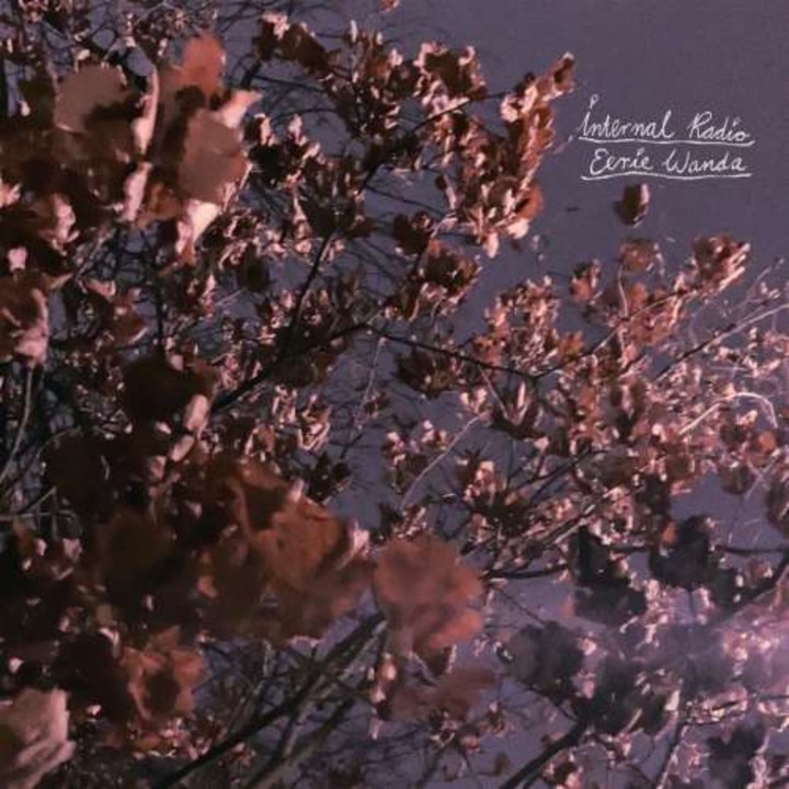 Eerie Wanda - Internal Radio (CD)