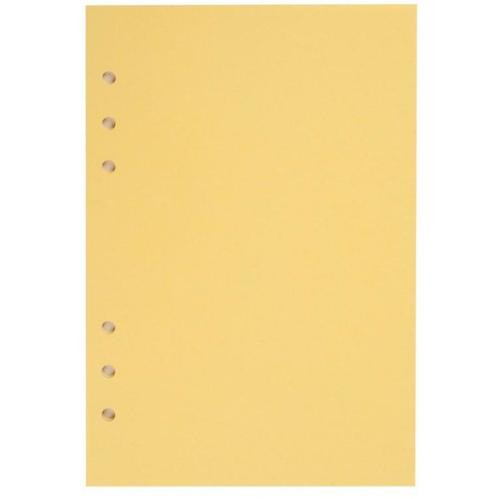 Rezerve pentru agenda organizator A5 Antra, galben, 210x144mm, set 20 buc