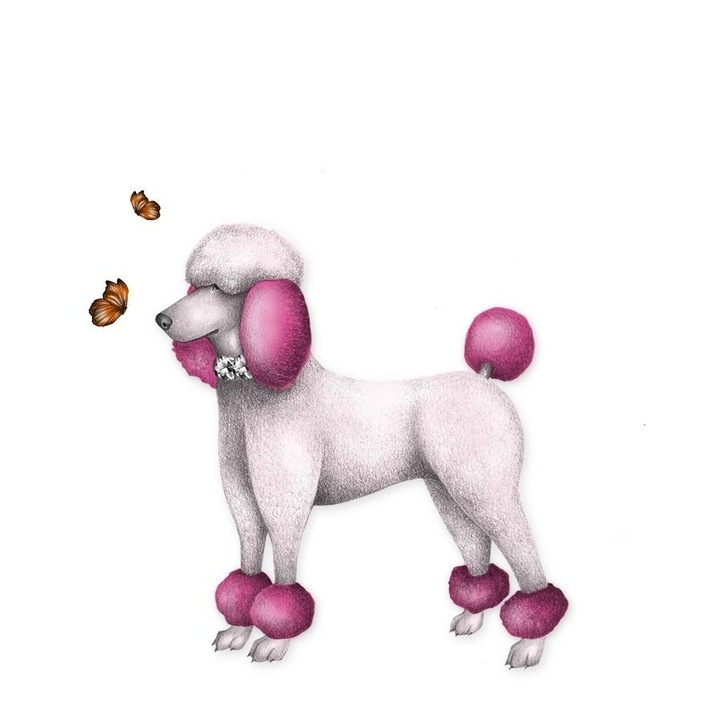 Felicitare, Clear Creations, Model catel, Multicolor