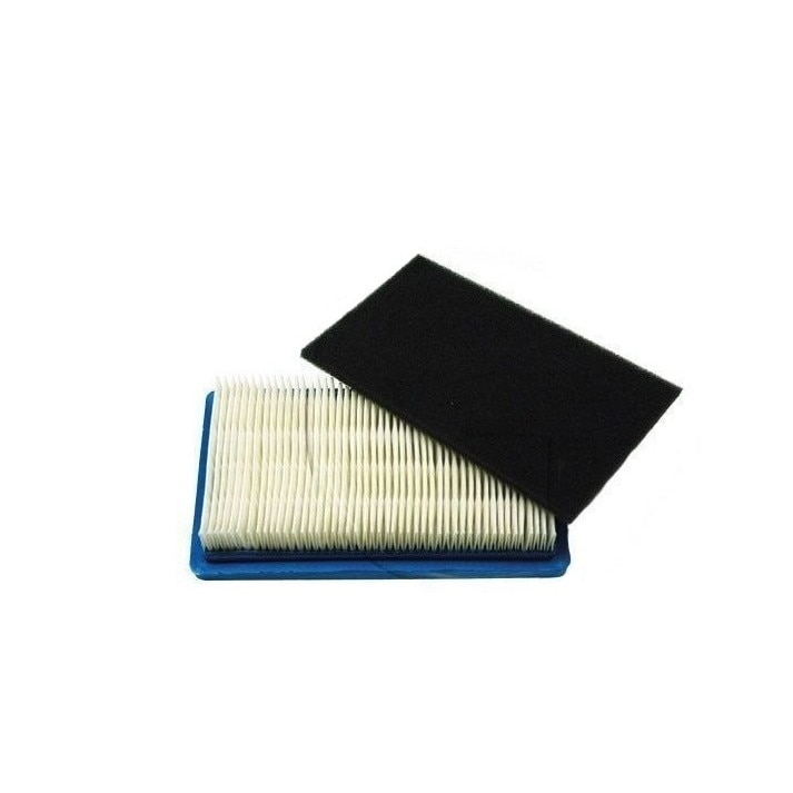 SET FILTRO ARIA Di Lunga Durata Per Motore ThorX 35 45 55 400 500 600 OHV EUR 25,51 - PicClick IT - Foto 10