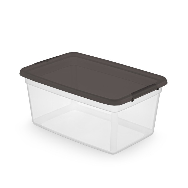 Cutie depozitare cu capac 40L, Domotti Easy