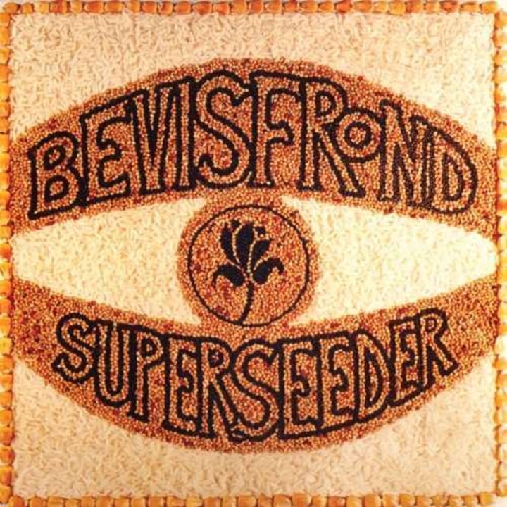 Bevis Frond - Superseeder (CD)