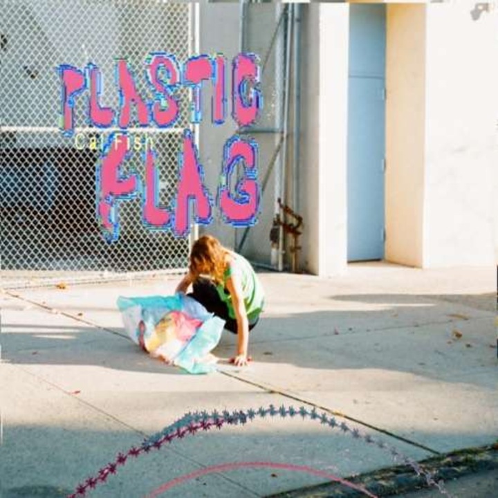 Cal Fish - Plastic Flag (LP)
