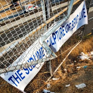 Vinyl-uri si cd-uri muzica