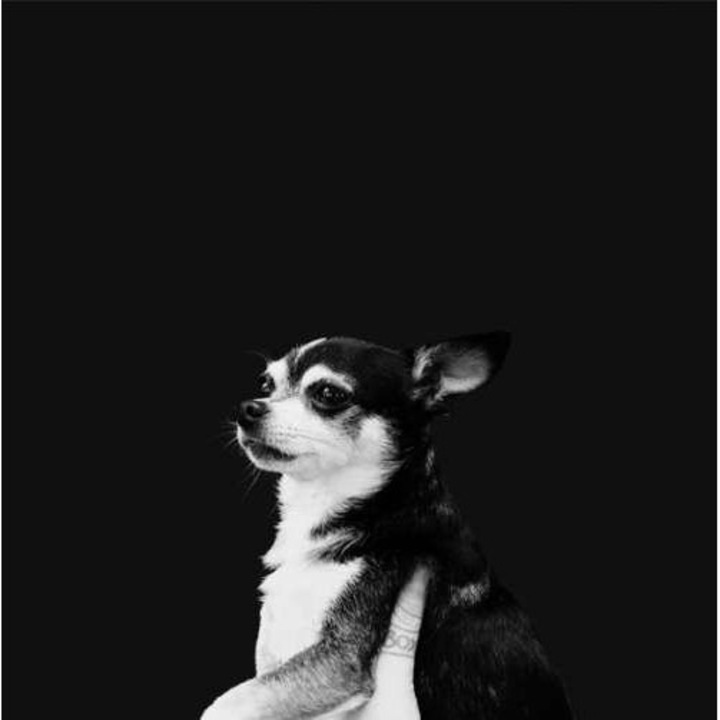 And the Kids - When This Life is Over (CD)