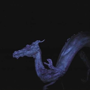 Vinyl-uri si cd-uri muzica