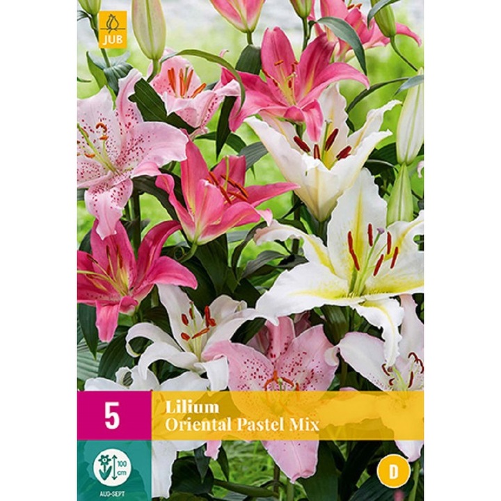 Bulbi, Crini Oriental Pastel Mix, Jub Holland, 5 buc