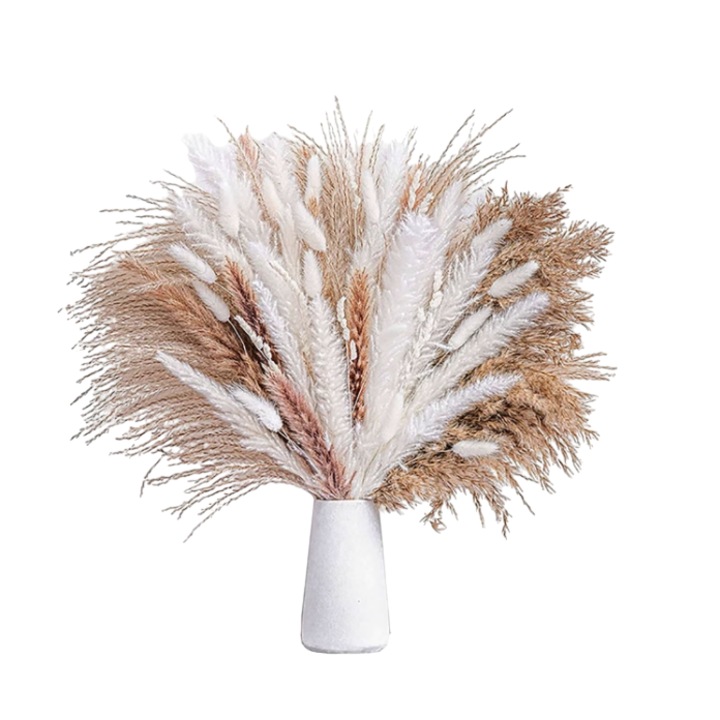 Натурално растение Pampas Grass, AEWOYAD, 80 пръчици, изсушени, естествено консервирани, Бяло/кафяво