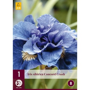 Bulbi, seminte si rasaduri